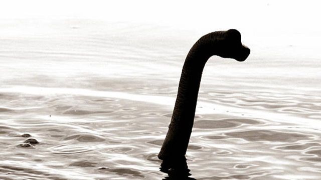 Plesiosaur in Loch Ness?