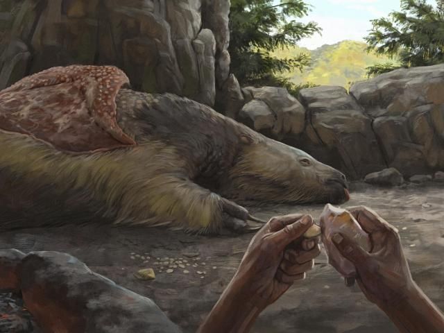 Early Humans in the Americas: New Insights from Giant Sloth Remains