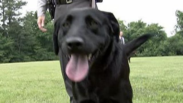 Canine program has new dogs, handlers