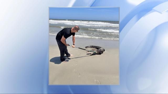 Credit: Sunset Beach Police Department