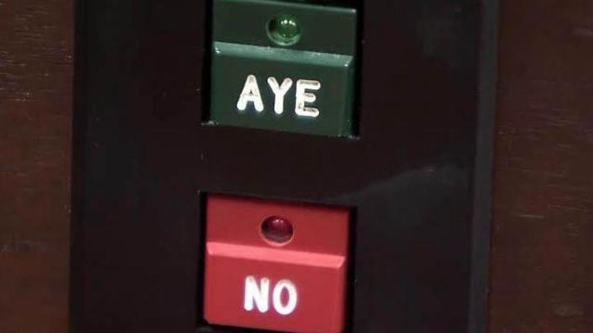 General Assembly voting buttons