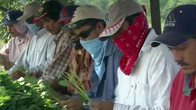 Farmers ask lawmakers to ease up on immigration rules