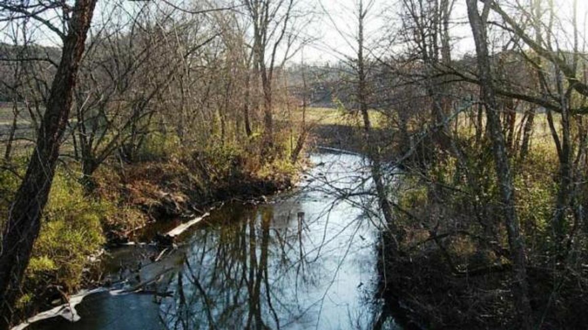 First Broad River