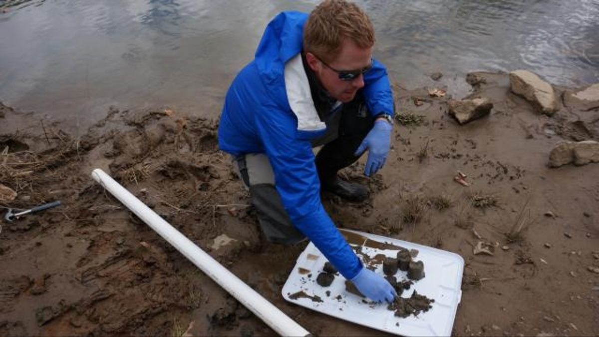 Pete Harrison looks at core samples 