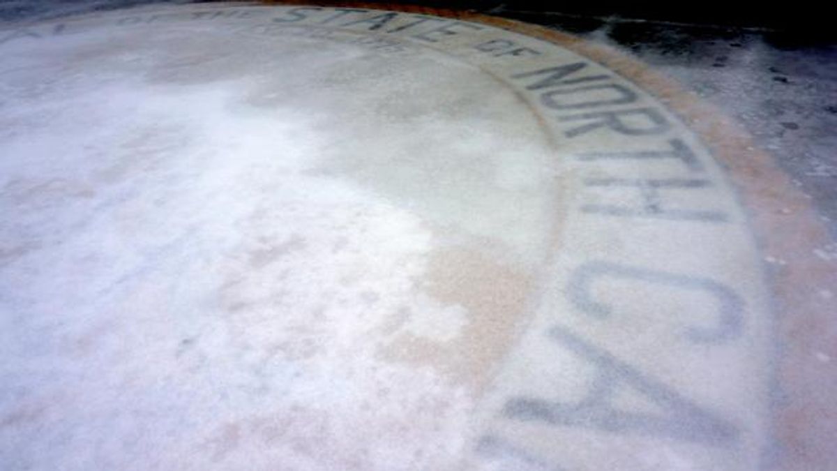 Great seal under ice