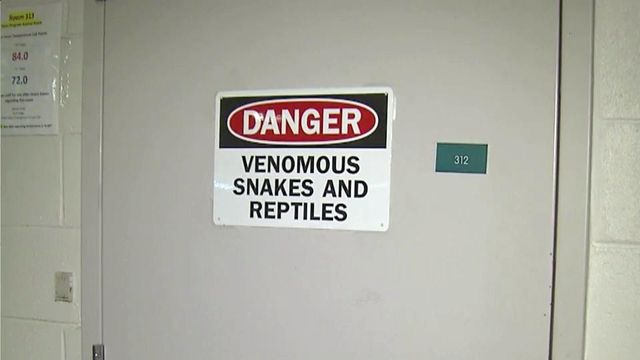 NC museum to send confiscated snakes to SC facility