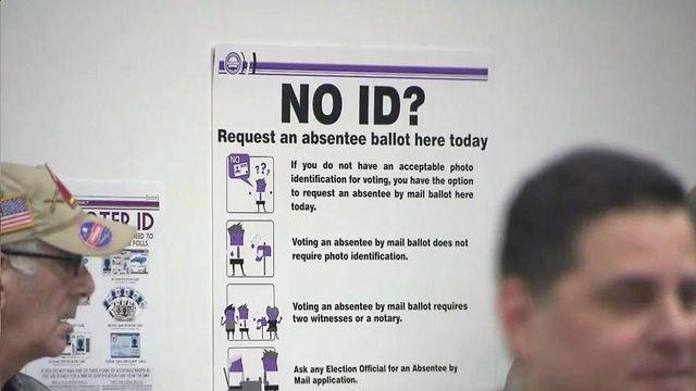 Proposed voter ID amendment aimed at boosting GOP turnout at polls