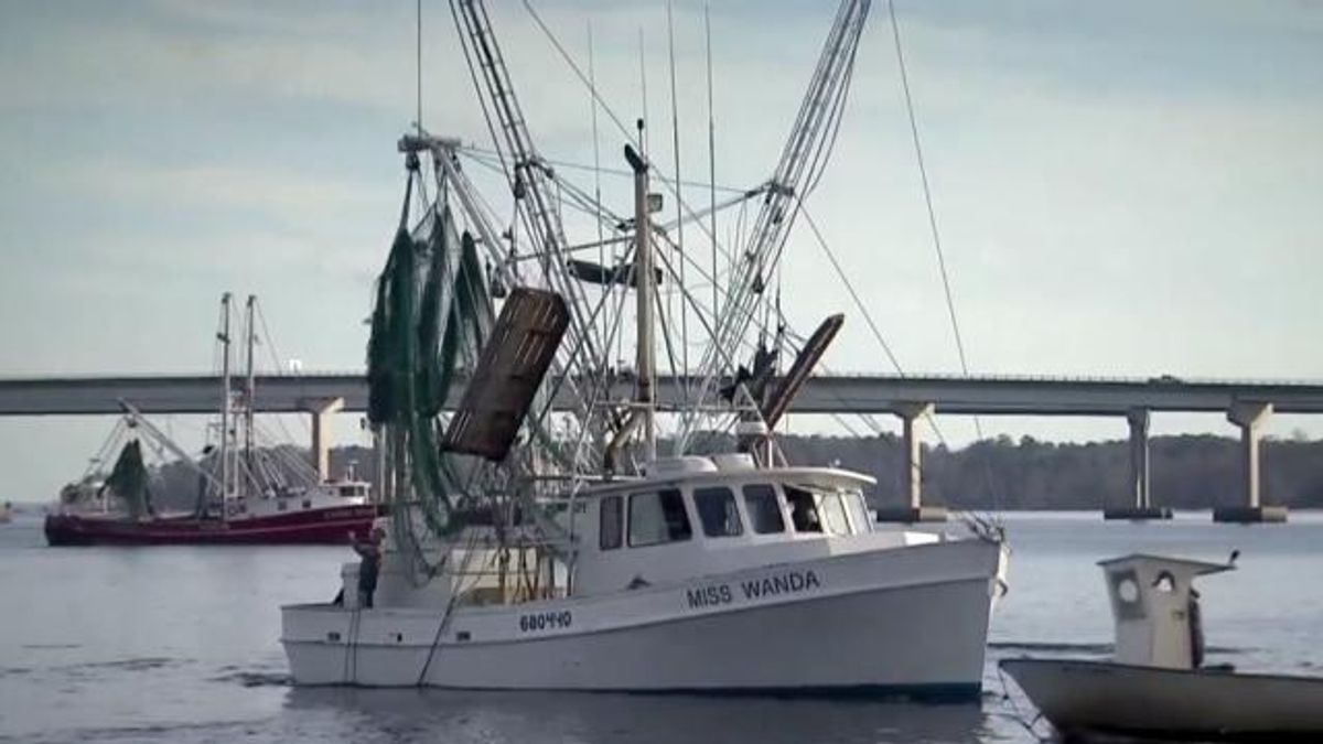 Shrimp trawler