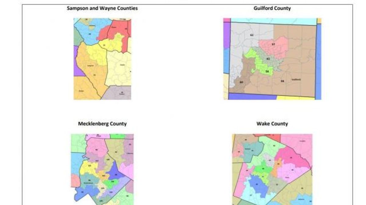 Covington special master districts