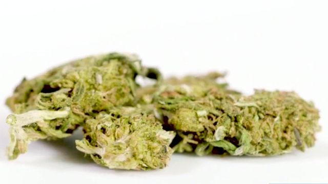 Law enforcement says hard to tell marijuana, hemp apart
