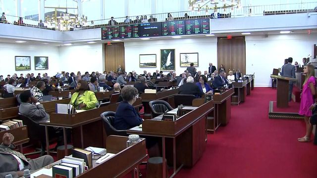 House debates changes to elementary reading program