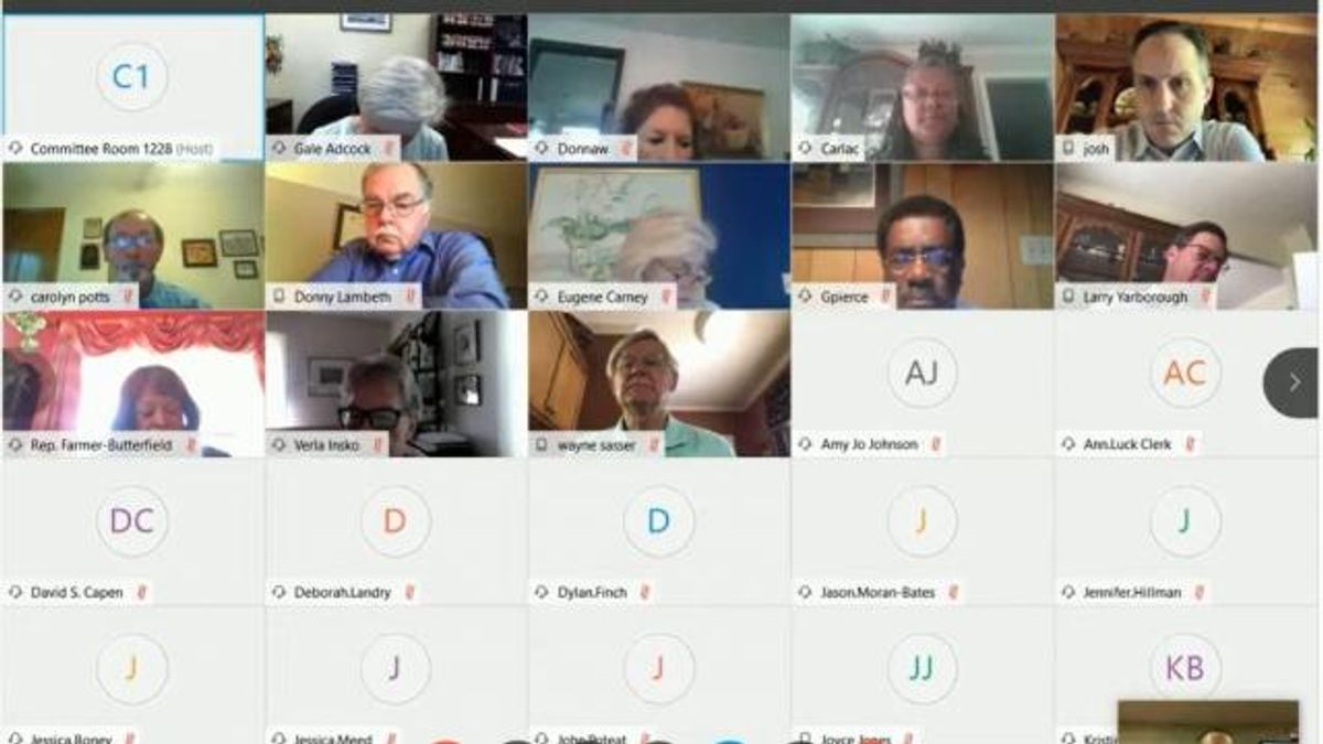 Screenshot from NC House working group on COVID-19 health issues, April 16, 2020.
