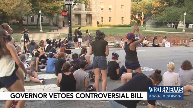 Activists celebrate veto of controversial bill