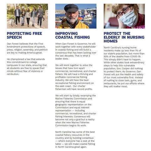 Screenshot, issues page, Dan Forest campaign website