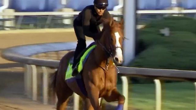 Lawmakers file horse racing, ACC holidays proposals