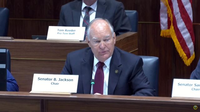 Senate hearing on NC energy supply