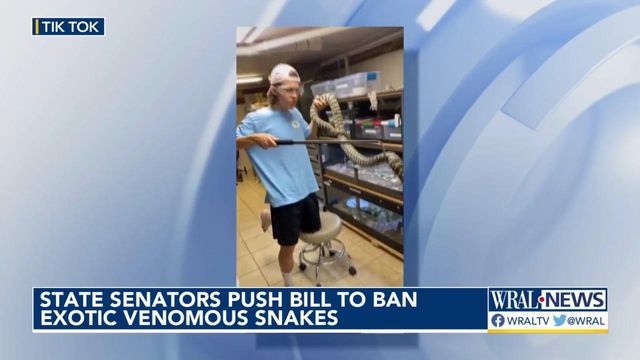 NC senators push bill to ban venomous reptiles 