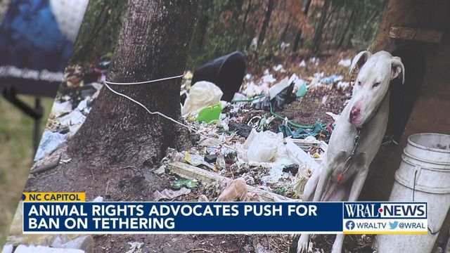 Animal rights advocates push for ban on tethering in North Carolina