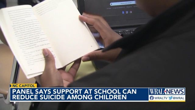 Panel says support at school can reduce suicide among children
