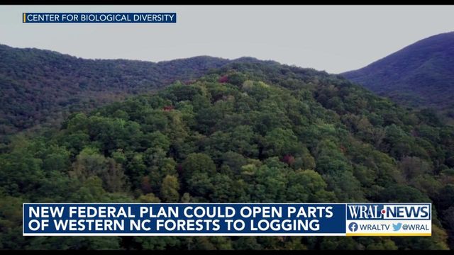 New federal plan could open parts of western NC forests to logging