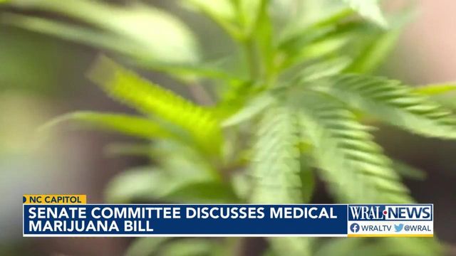 NC Senate committee discusses medical marijuana bill
