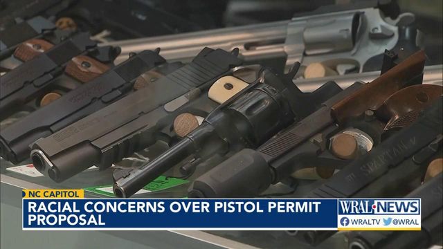 Repeal of pistol permit law means more guns, gun violence in Black communities, advocates warn