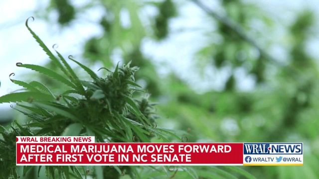 Medical marijuana moves forward after first vote in North Carolina Senate