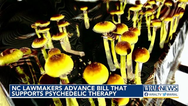 NC lawmakers advance bill that supports psychedelic therapy
