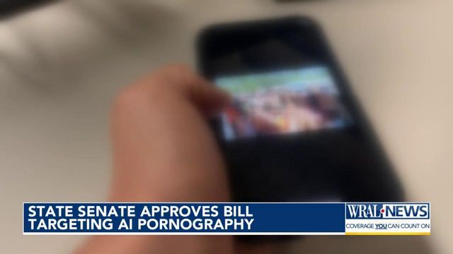 NC Senate approves bill targeting AI pornography