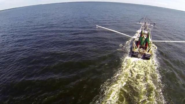 Flounder fishing bill would ban inshore shrimp trawling in NC