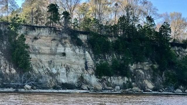 EARNHARDT-7 Chowan River sand cliffs