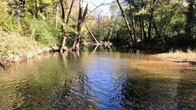 EARNHARDT-6- Morgan Creek