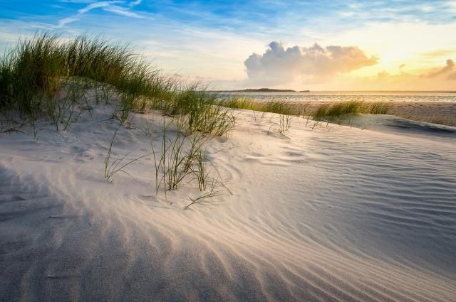 NC Beach in the Morning