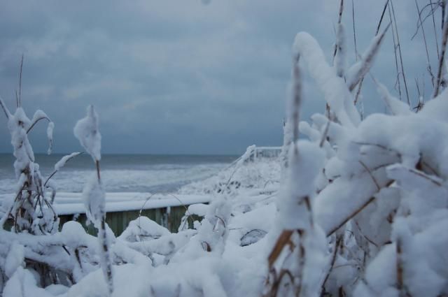 Topsail Snow