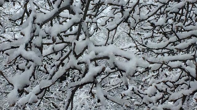 Snow results in power outages, slick roads across central NC