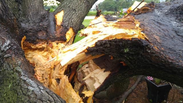 Storm 7-7-16