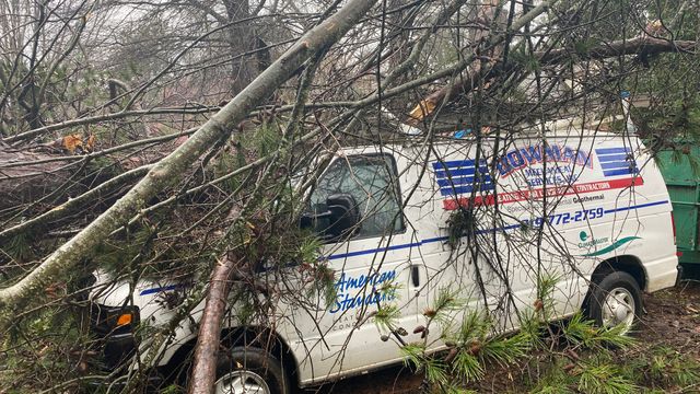 Gusty 50 mph winds cause power outages, downed trees
