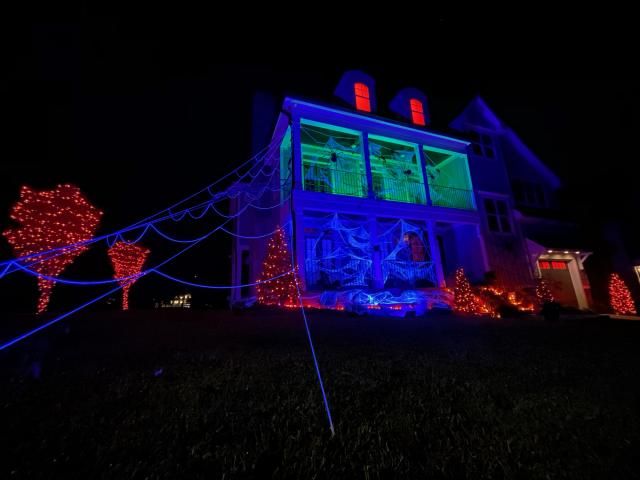 The Spider Den of Five Points