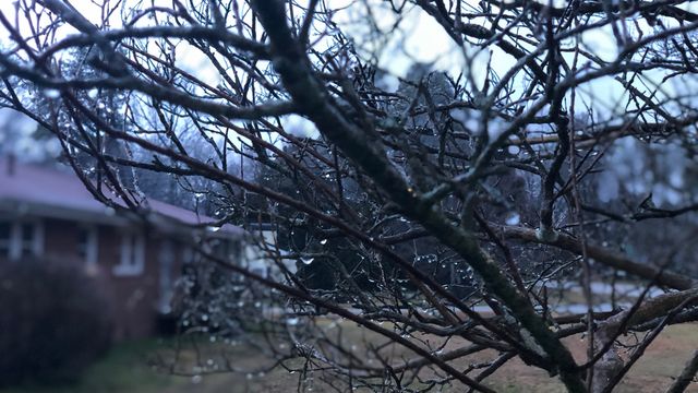 Why freezing rain didn't result in widespread power outages