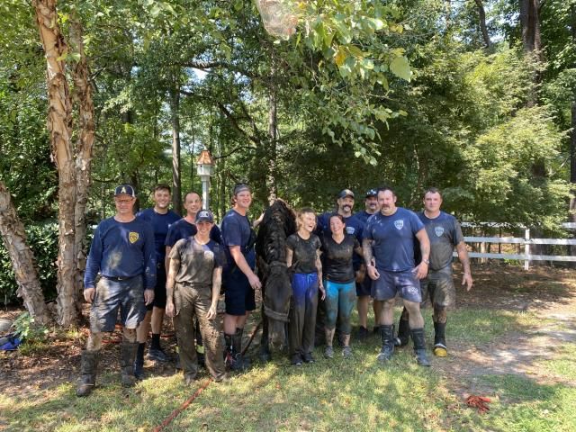 Saving Tilley The 1500 lb Draft Horse Trapped in a muddy pond - Apex Fire Department & Dr. Stephanie Freese DVM
