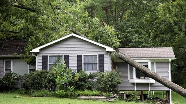 Tree falls on Clayton home