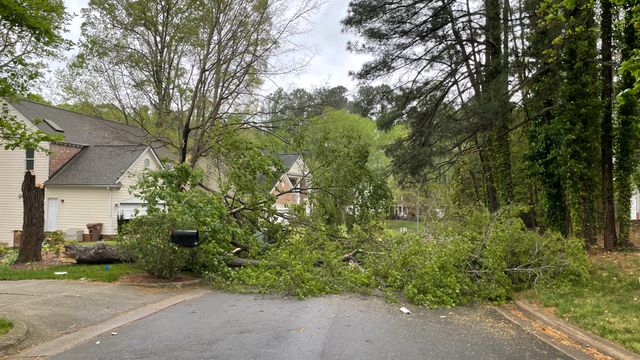 Trees fall on major Cary roads: Kildaire Farm and Cary Parkway 