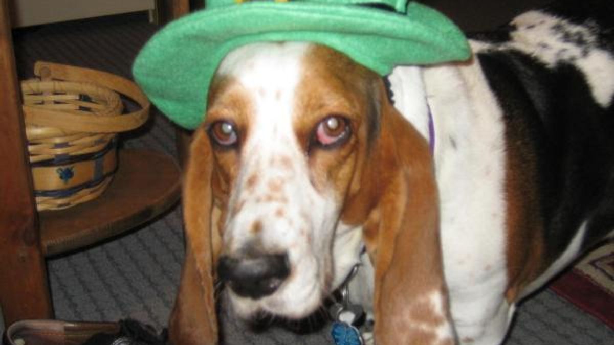 Dixie Lou