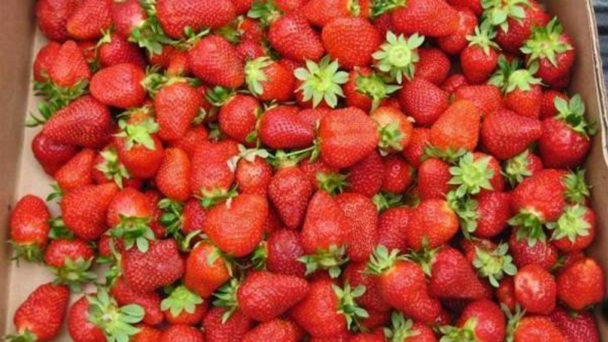 Fresh strawberries