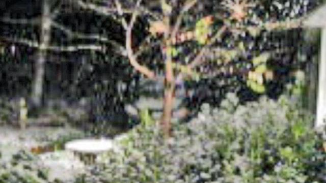 Snow falls in Granville County