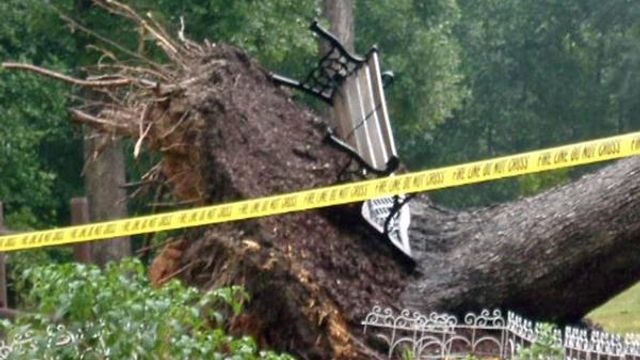 Storms down trees in central N.C.
