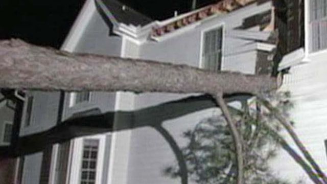 Tree splits Durham home