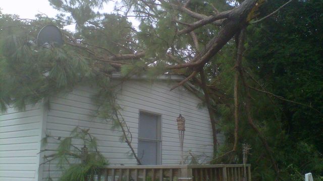 Tree snapped by storm forces Johnston family from home