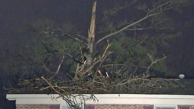 Storms down trees, knock out power in spots