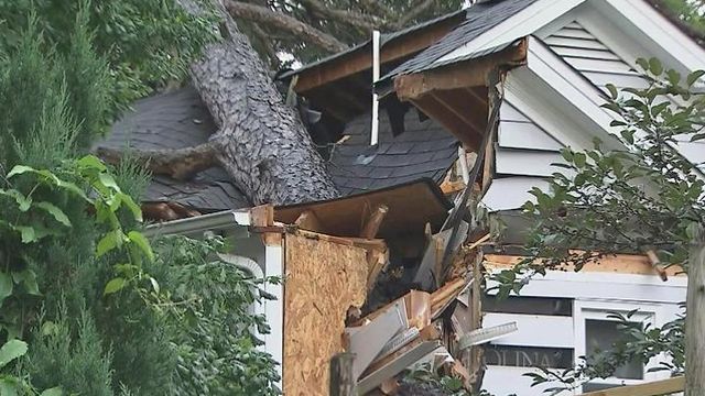 Falling trees in Raleigh narrowly miss woman, restaurant